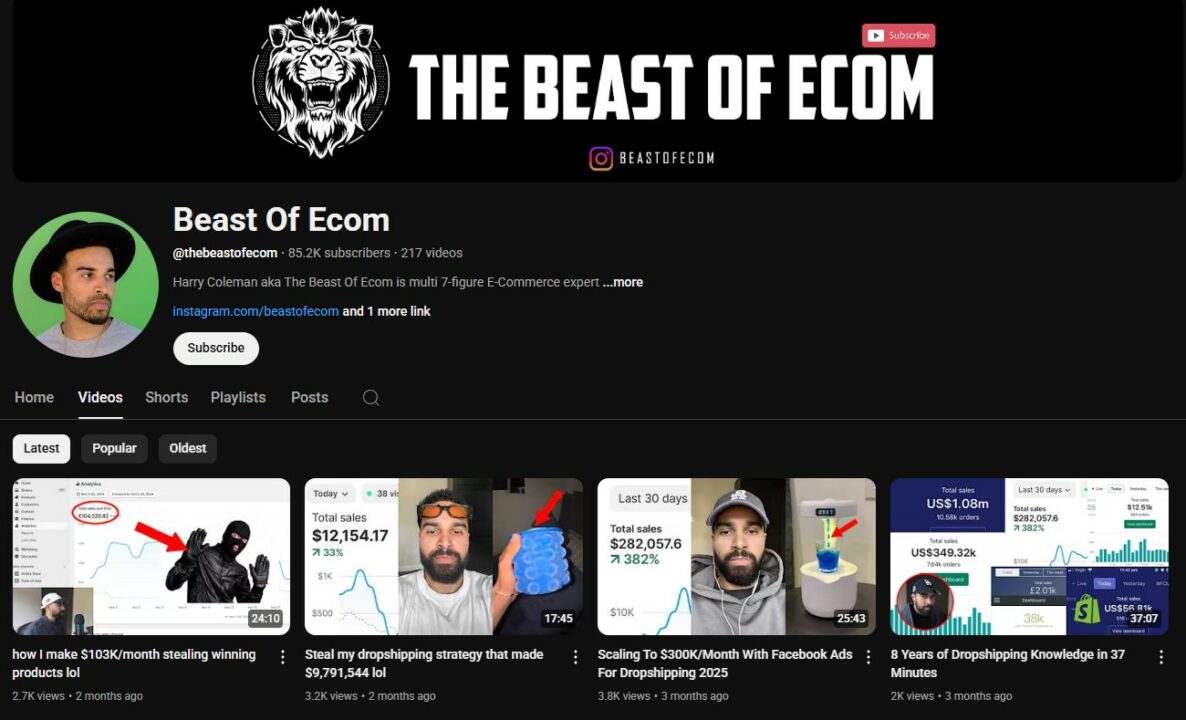 The beast of ecom dropshipping success story