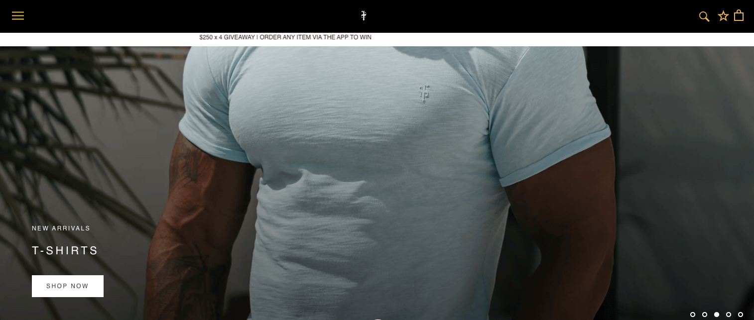 Father Sons Clothing homepage