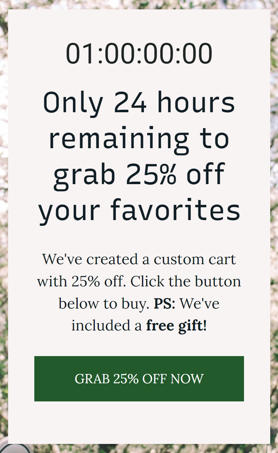 Countdown timer SMS landing page example