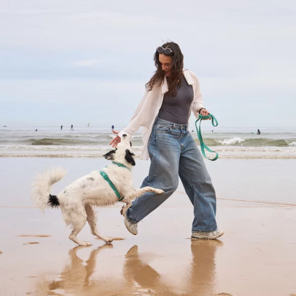 How Dukier grew its revenue from Omnisend by 525%