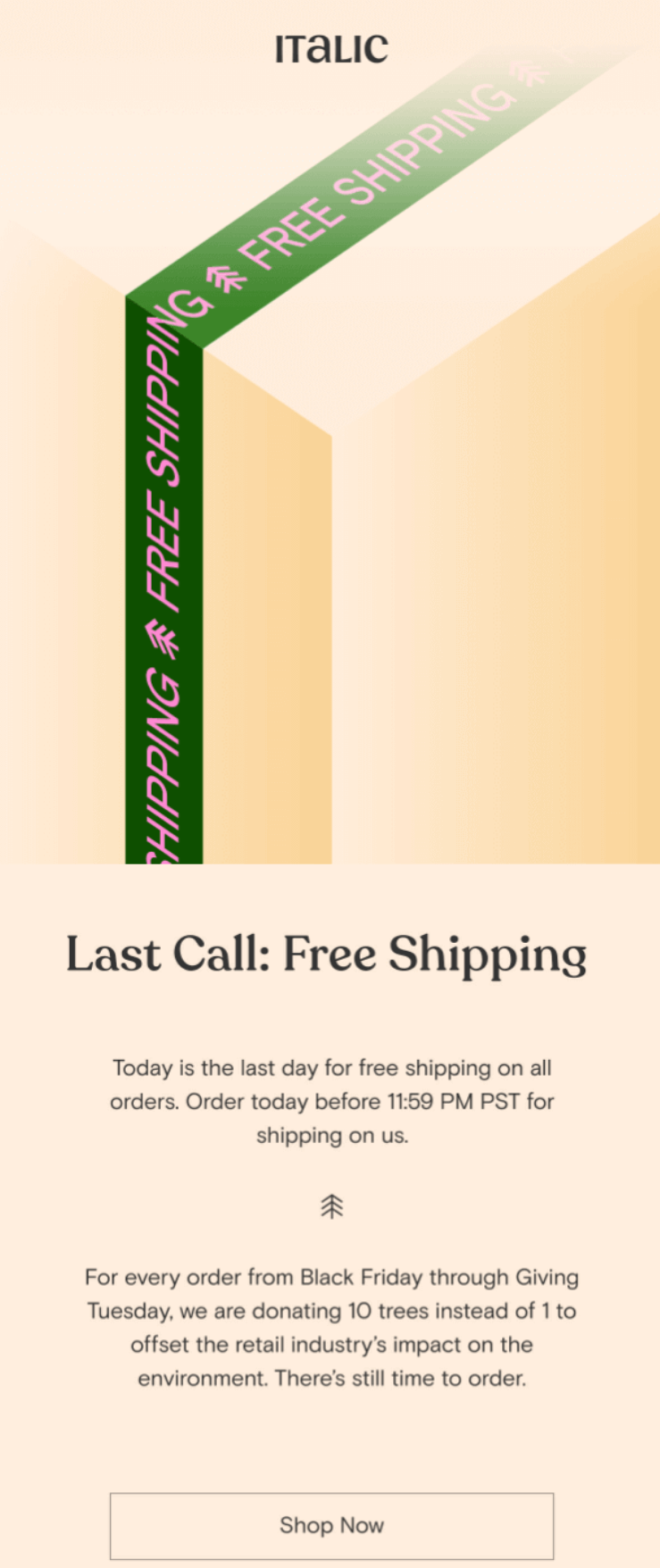 Italic's Black Friday email example