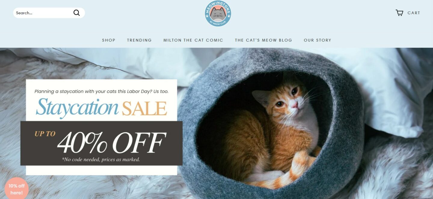 Successful branded dropshipping store example by Meowingtons