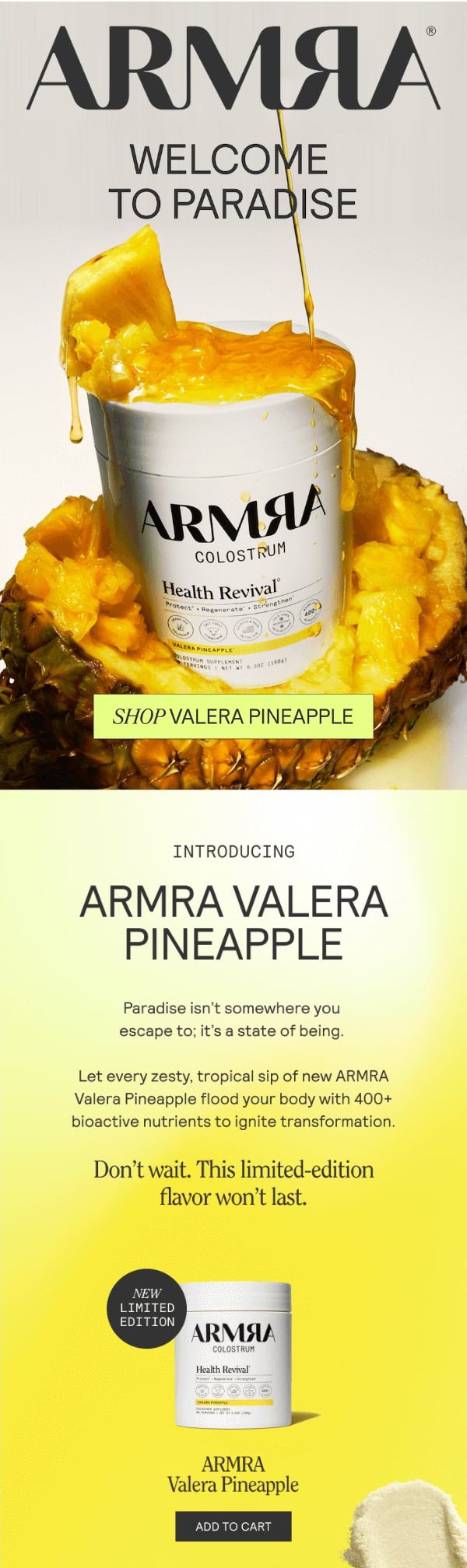 product showcase newsletter design