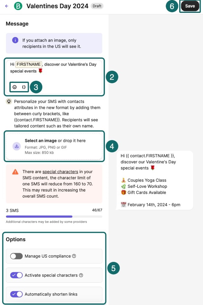 Brevo SMS flowchart