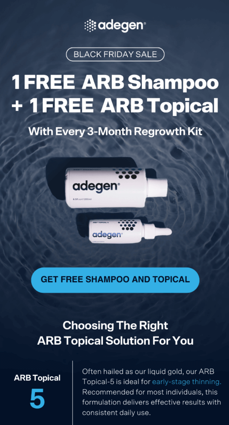 Adegen black friday email example