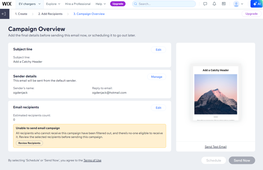 Wix campaign overview