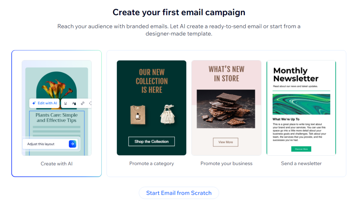 Wix email campaign