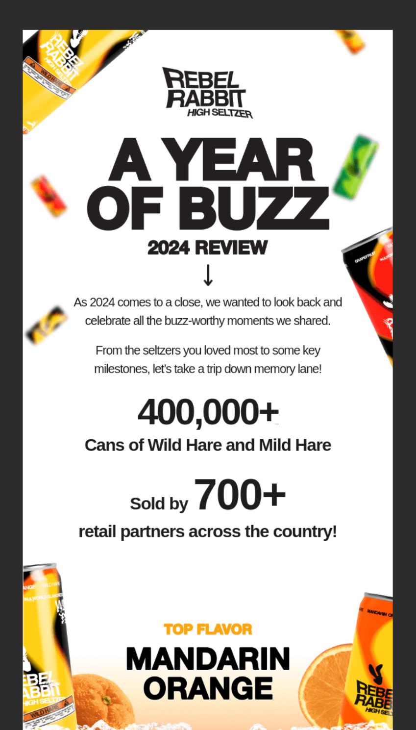 Rebel Rabbit High Seltzer 2024 Year of Buzz email recap featuring bold black text on white background, product cans, and highlights such as 400,000+ cans sold and 700+ retail partners.