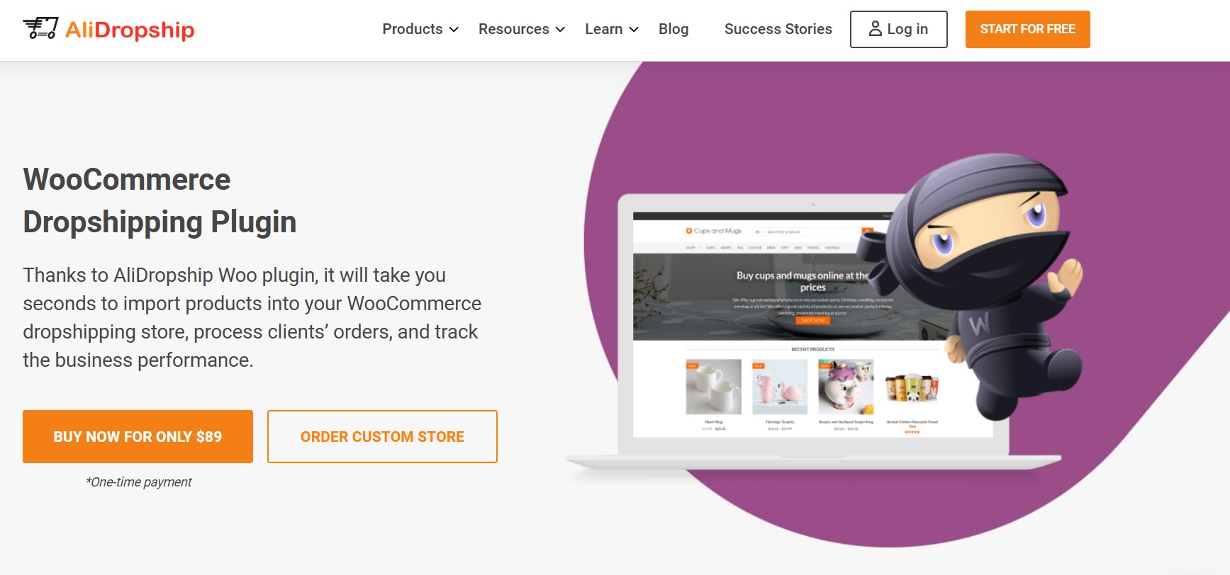 AliDropship home page