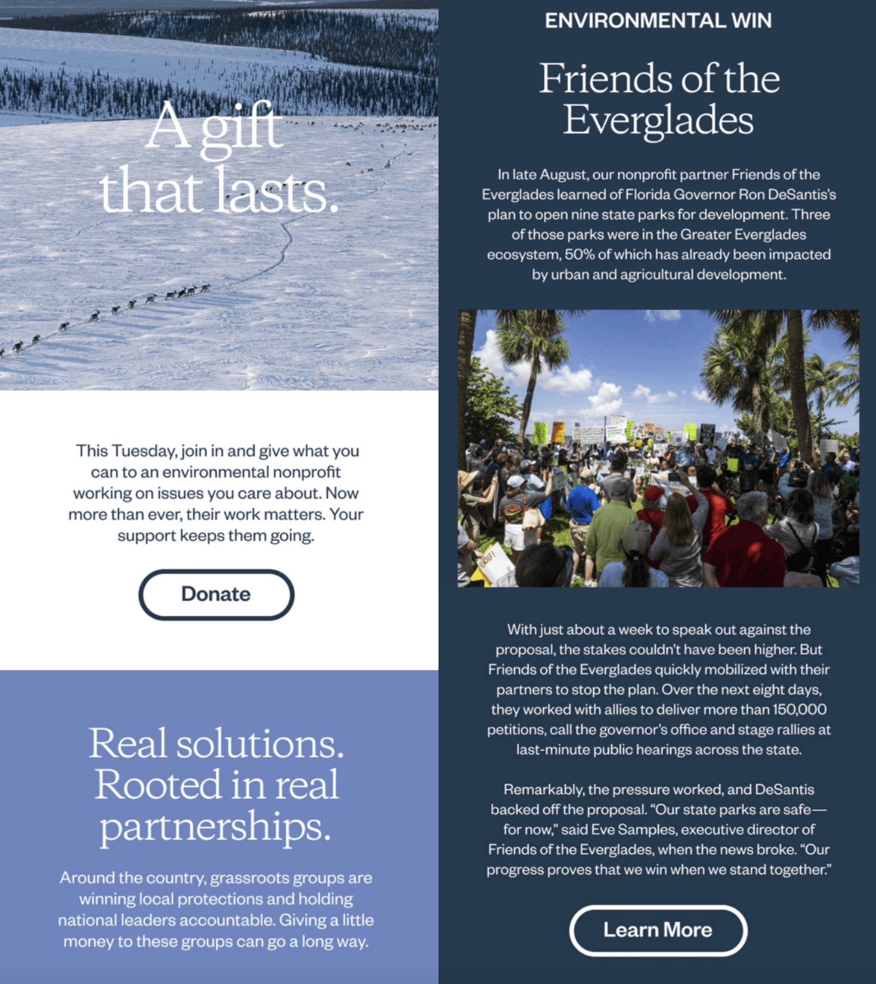 Patagonia Giving Tuesday email highlighting environmental efforts, featuring a snowy landscape, text ‘A gift that lasts,’ and a story about Friends of the Everglades.