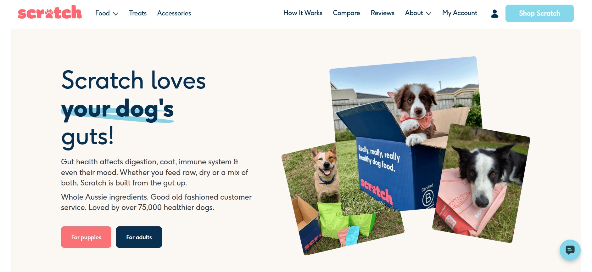 scratch pet food's home page