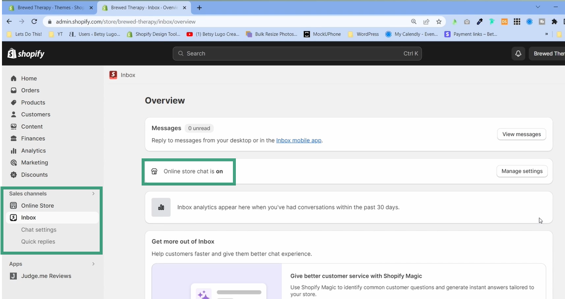 shopify inbox: inbox overview page highlighting that the online store chat is on and where you can access these settings