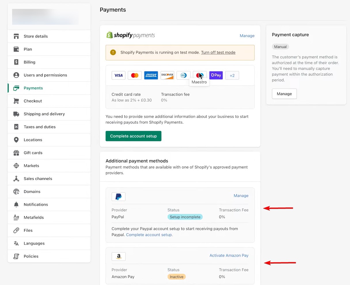 Shopify payment setup