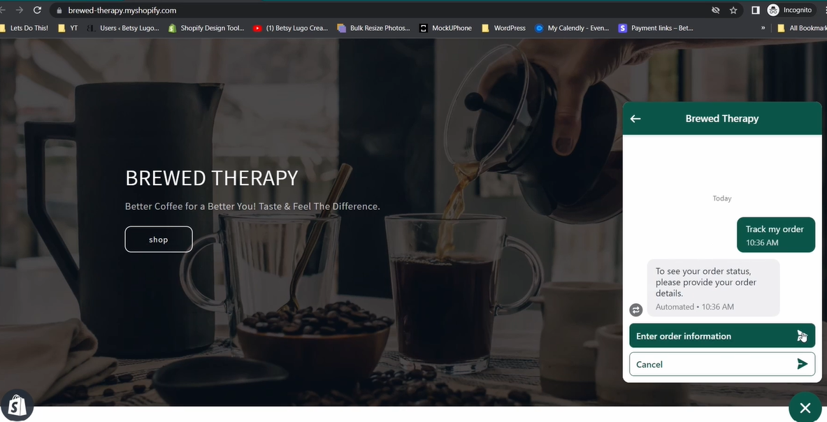 shopify inbox: user talking to the chat widget on brewed therapy website