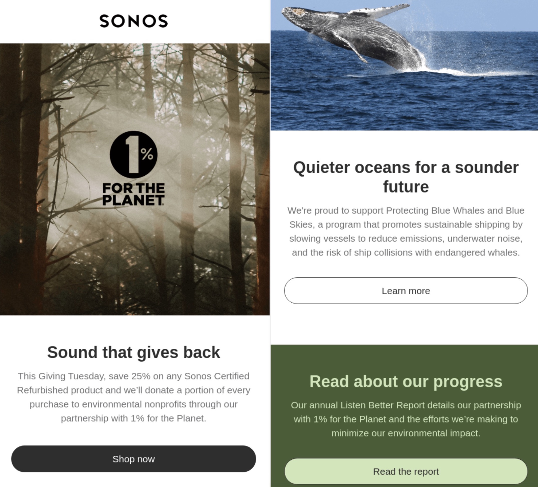 Sonos Giving Tuesday email promoting environmental giving with the ‘1% for the Planet’ logo, a whale image, and messages about sustainable shipping and sound that gives back.