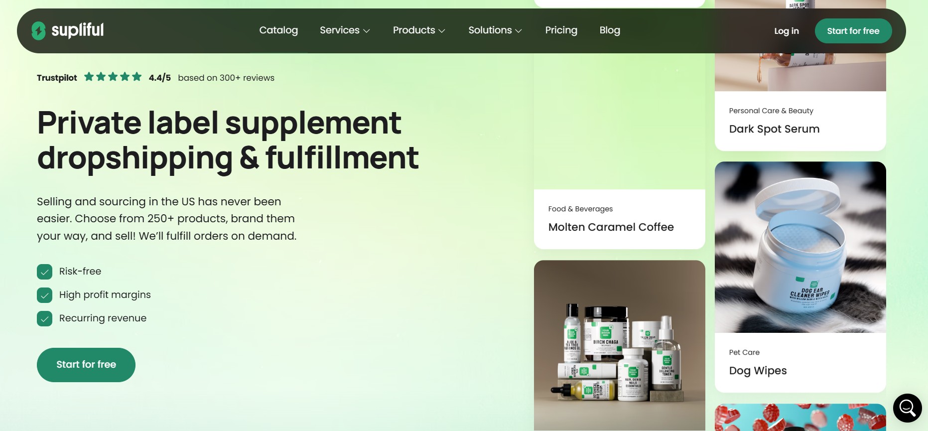 supliful website's home page view