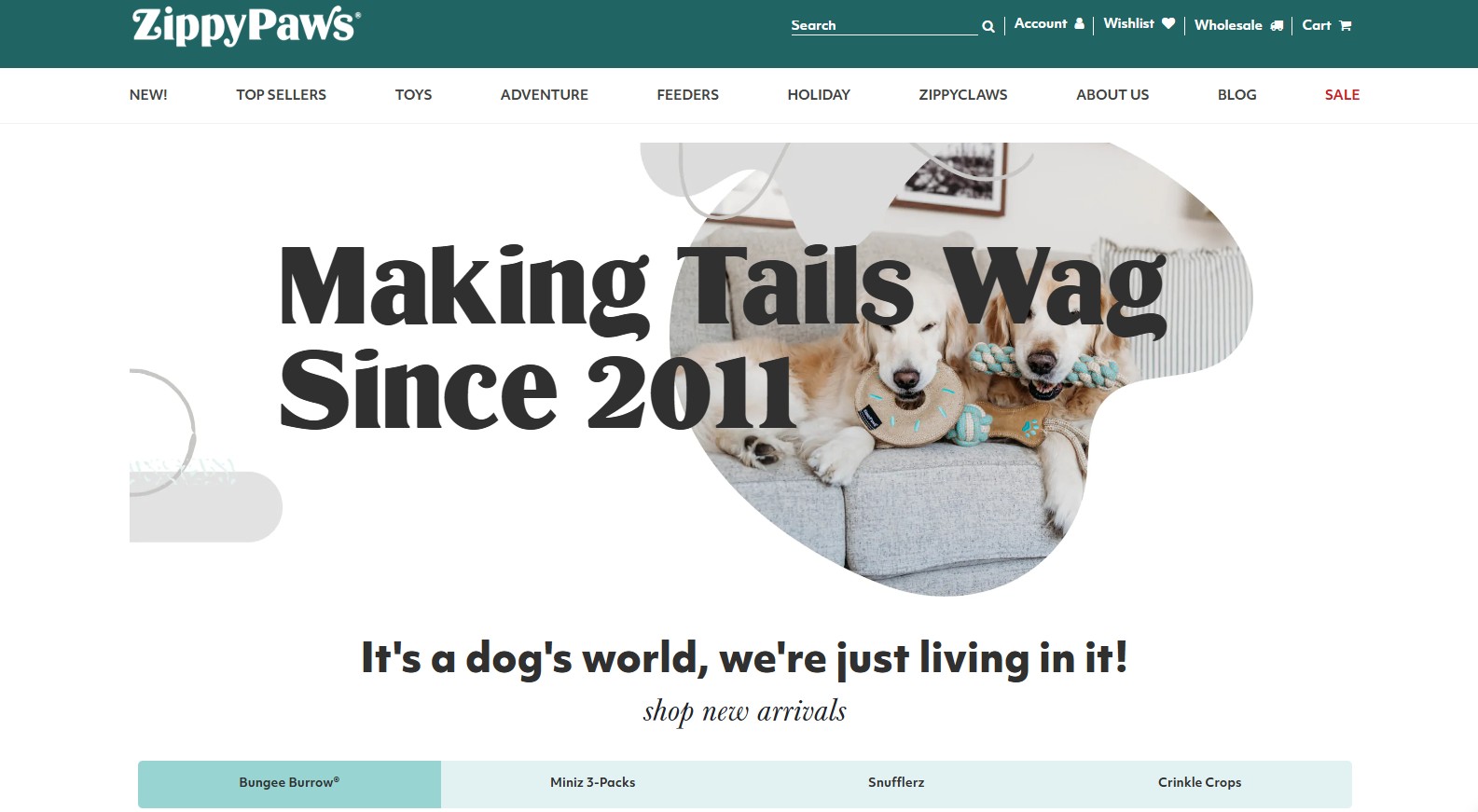 zippy paws home page