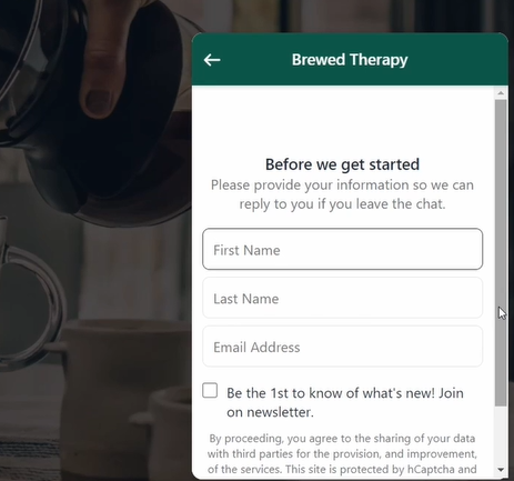 shopify inbox: shopify chat prompting the user to enter first name, last name, and email address.