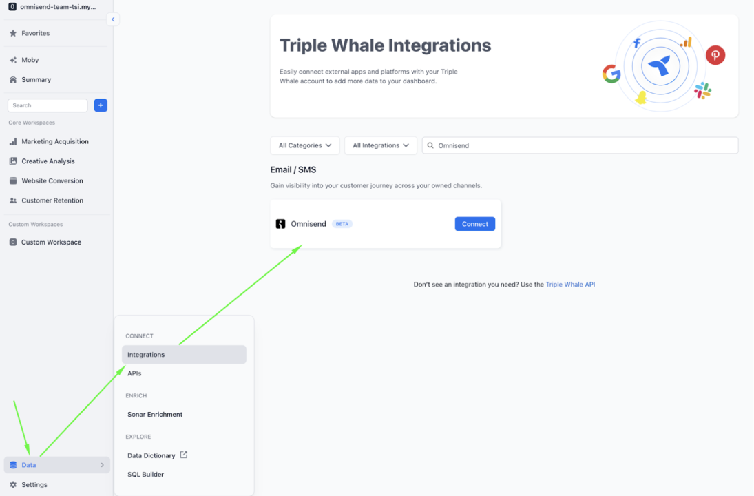Triple Whale integration