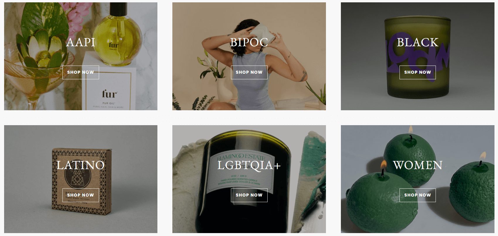 shopify general store: A grid of six product images, each labeled with a different community: AAPI, BIPOC, BLACK, LATINO, LGBTQIA+, and WOMEN. Each section has a Shop Now button overlaid on the product photo.