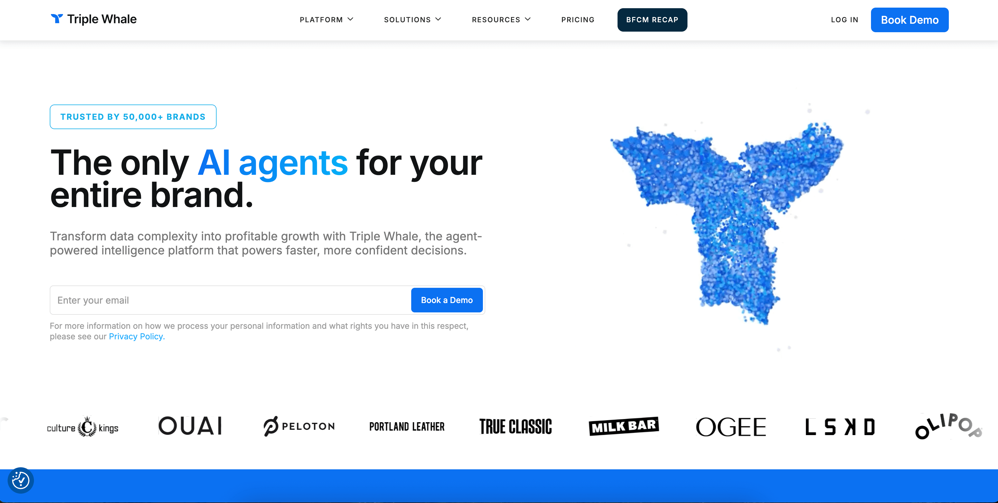 Omnisend integrations: triple whale home page