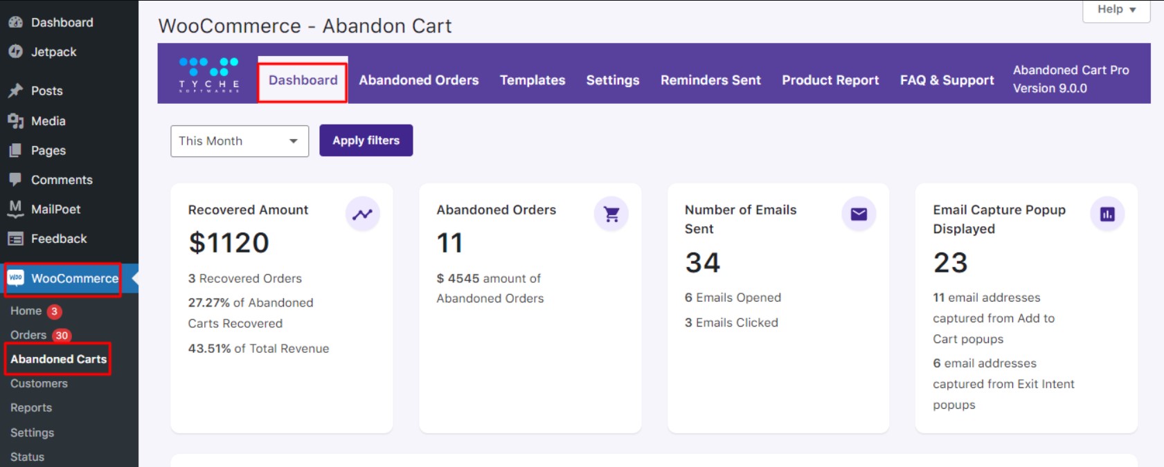 Tyche dashboard showing recovered amount, abandoned orders, number of emails sent, and email capture popup displayed