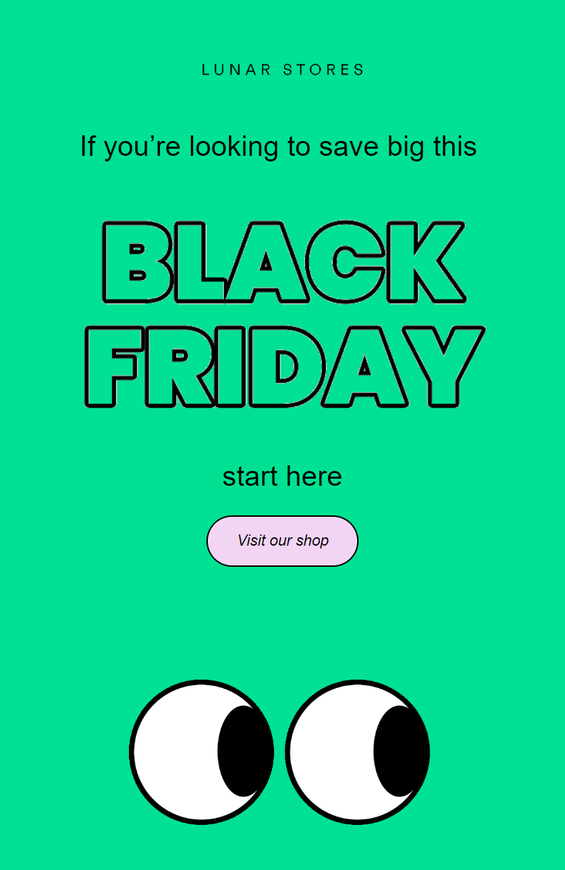 Shopify store maintenance: a pre-built email campaign template for Black Friday.