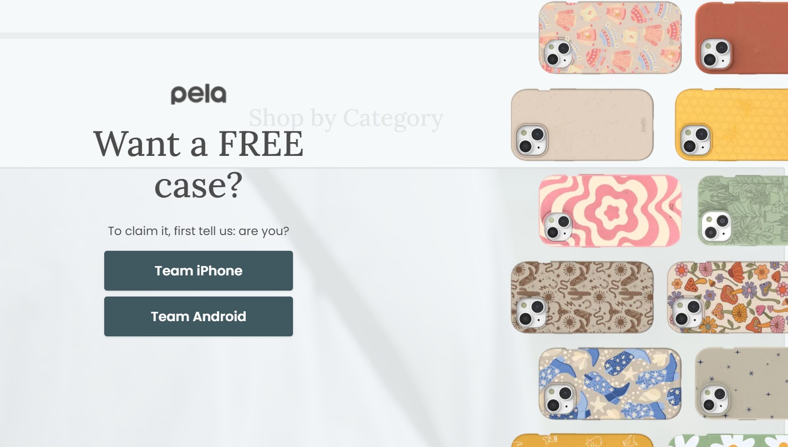 Marketing funnel: A website pop-up for Pela offering a free phone case. The left side has text and buttons for Team iPhone and Team Android. The right side displays various colorful phone case designs.