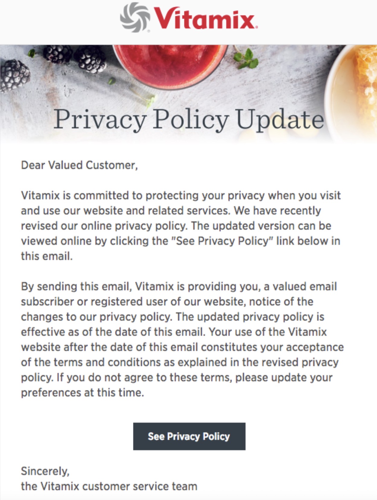 Transactional email: A Vitamix email titled Privacy Policy Update explains changes to their privacy policy, offers a link to view details, and asks customers to update preferences. The Vitamix logo and food images appear at the top.