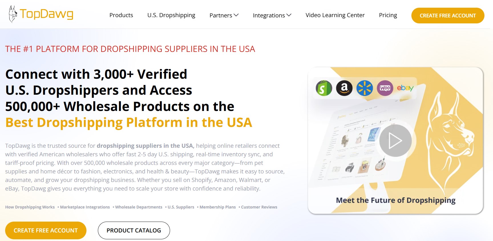 Amazon dropshipping suppliers: TopDawg home page