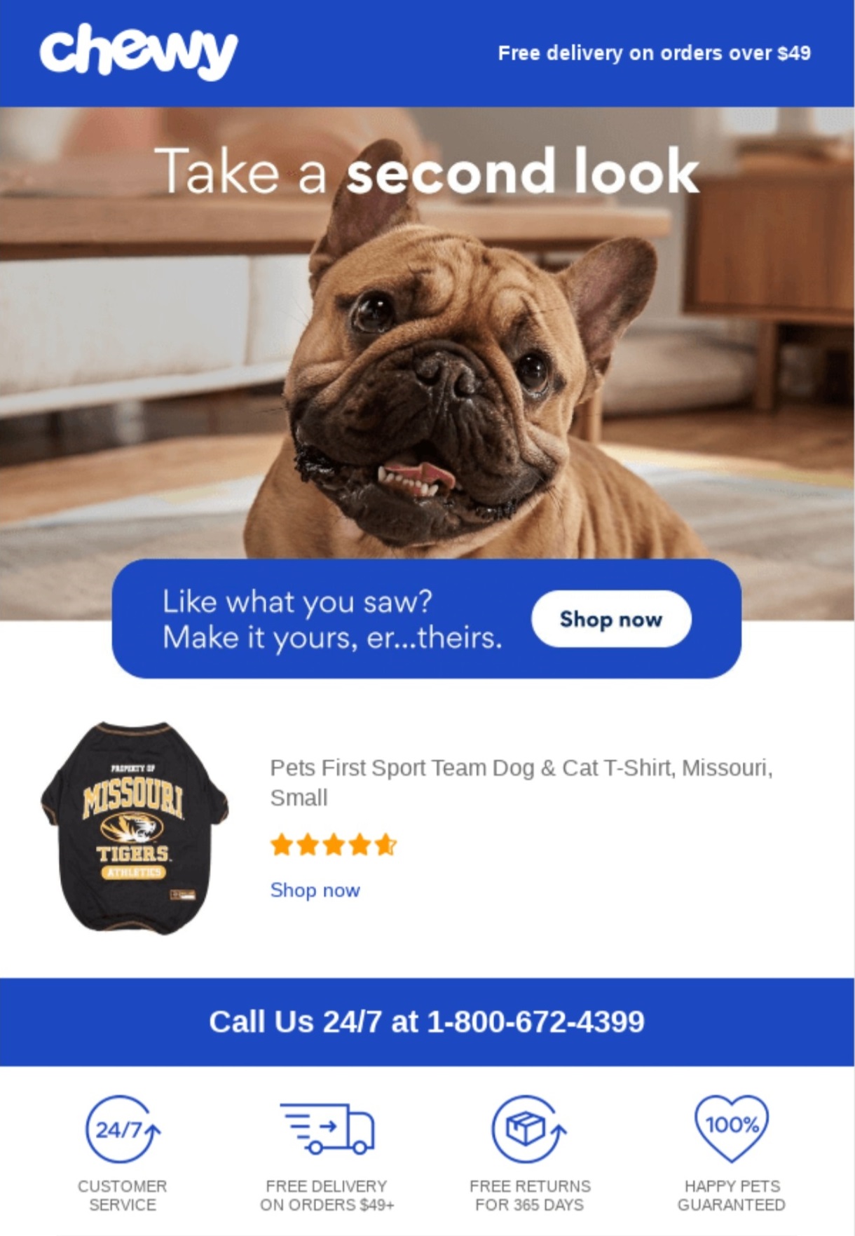 Email marketing examples: A brown French Bulldog looks up at the camera with a playful expression. Below, an ad offers a Missouri Tigers pet T-shirt, with a call to action to shop and customer service contact info at the bottom.