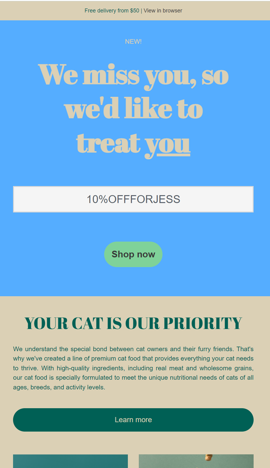 Shopify marketing automation: A promotional webpage for cat food features a blue banner with the text We miss you, so wed like to treat you and a 10%OFFORLESS discount code, a Shop now button, and information about premium cat food below.