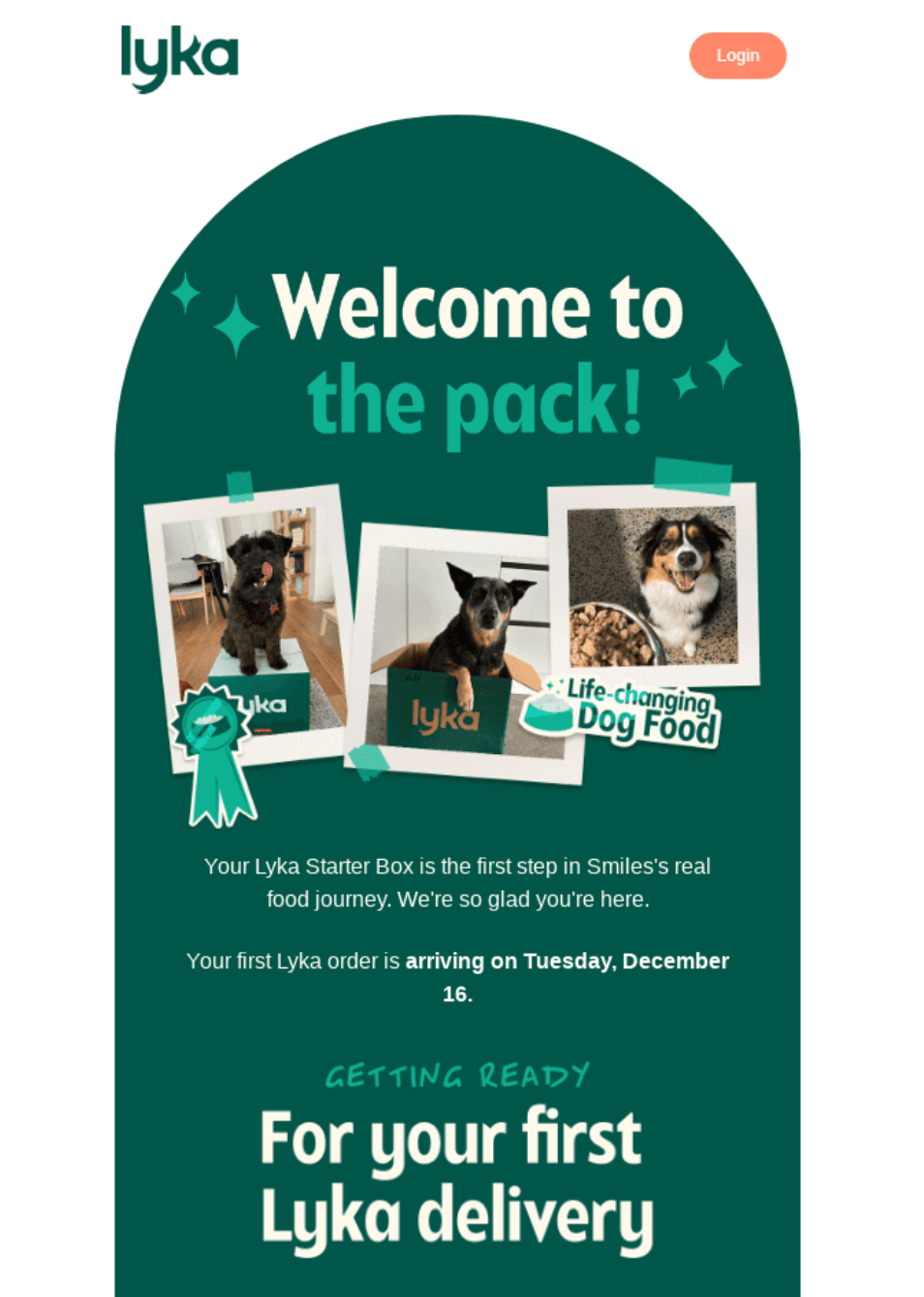 Email automation: A Lyka email with a green background welcomes a new customer, featuring photos of happy dogs, the text “Welcome to the pack!”, and information about the customer’s first Lyka dog food delivery.