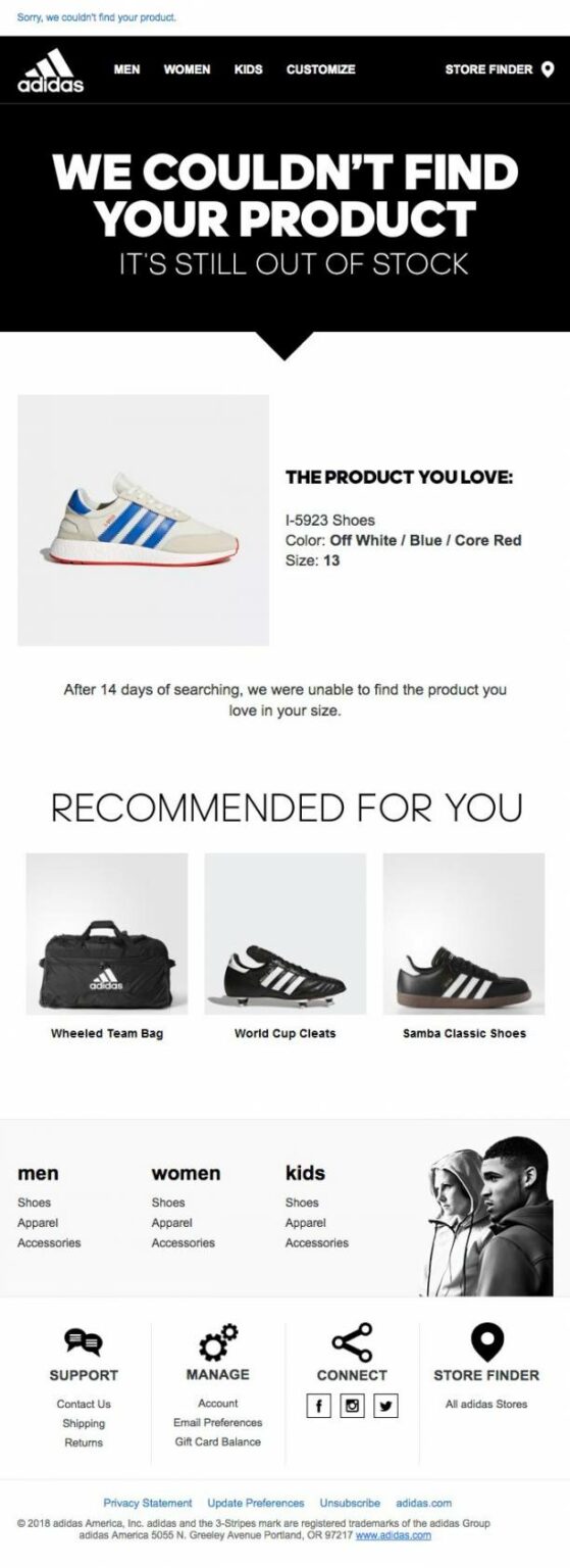 Stock Email Example 7 Out-of-Stock Email Examples That Recover Sales