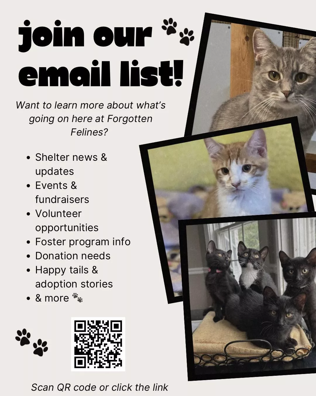 Email list: Flyer featuring photos of cats and kittens, encouraging people to join the Forgotten Felines email list for shelter news, events, volunteer info, adoption stories, and more. Includes a QR code to sign up.