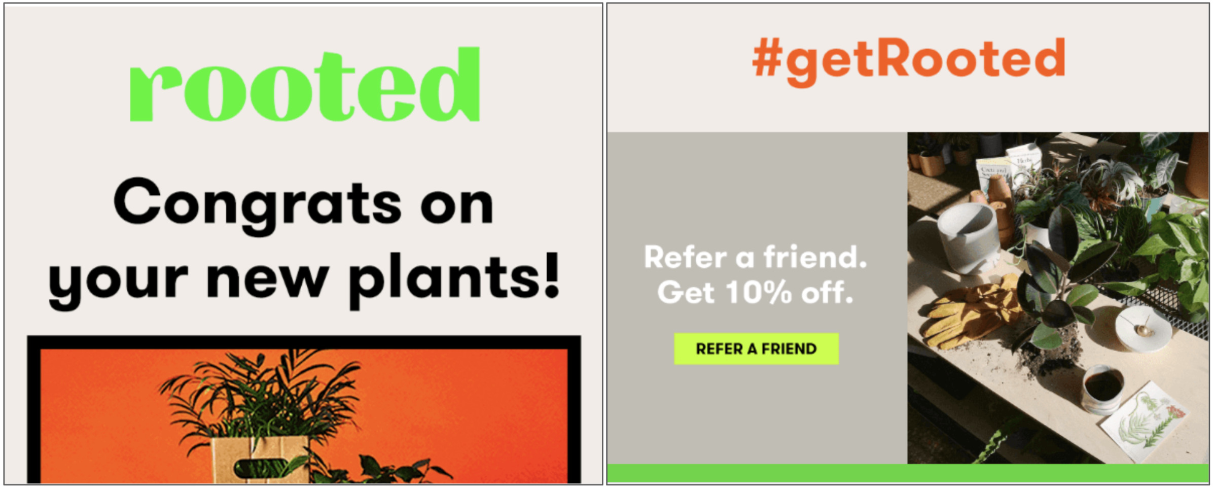 Referral emails: Post-purchase referral email example from Rooted showing a clear incentive with a bold CTA button