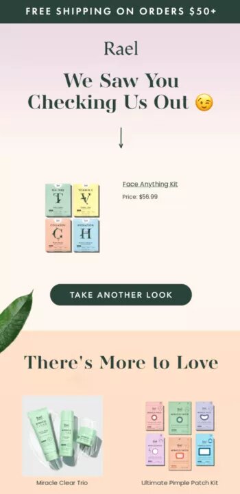 Browse abandonment email: Promotional ad for Rael skincare, offering free shipping on orders $50+. Features the Face Anything Kit ($56.99), Miracle Clear Trio, and Ultimate Pimple Patch Kit, with Take Another Look and Theres More to Love text.