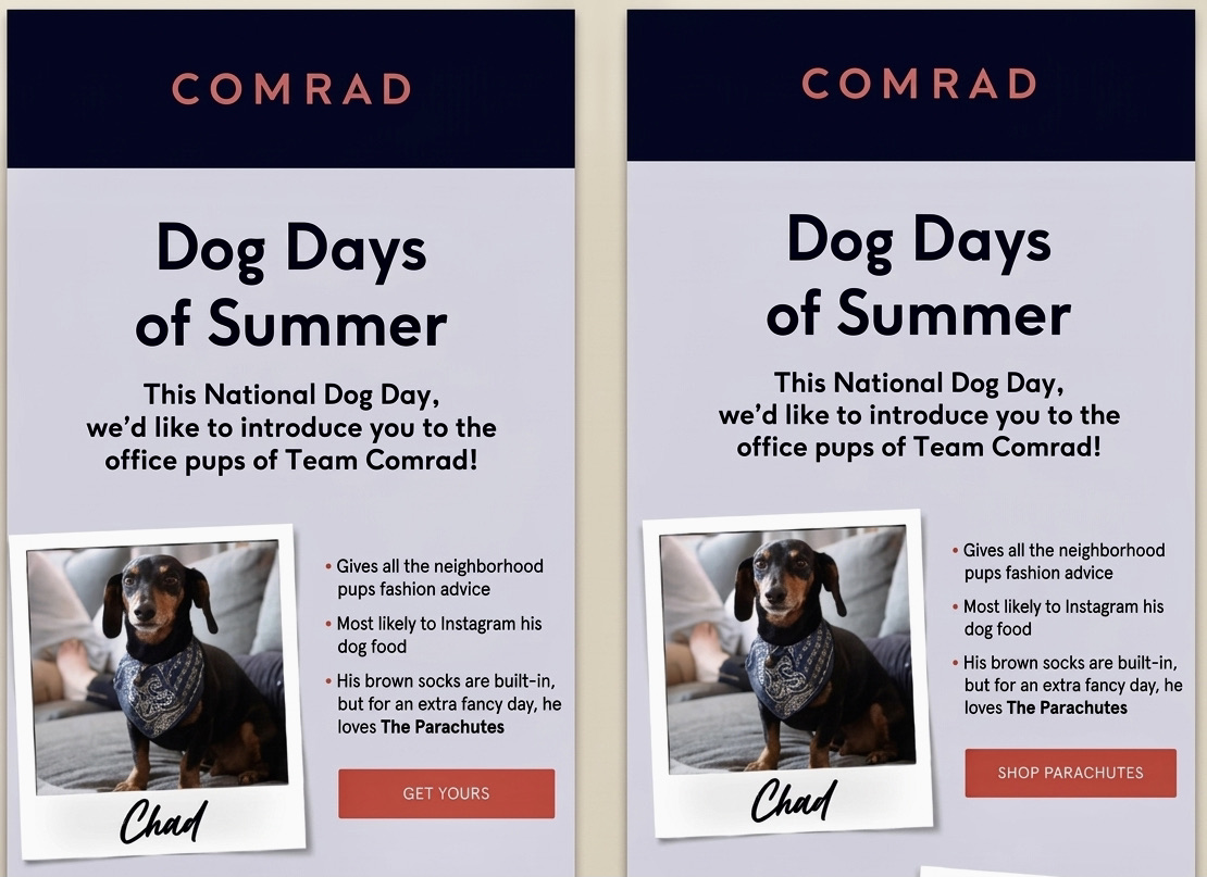 Email a/b testing: A promotional graphic featuring a dachshund wearing a blue bandana, labeled “Chad,” with text introducing office pups for National Dog Day and highlighting Chad’s personality traits. There are buttons labeled “Get Yours” and “Shop Parachutes.”.