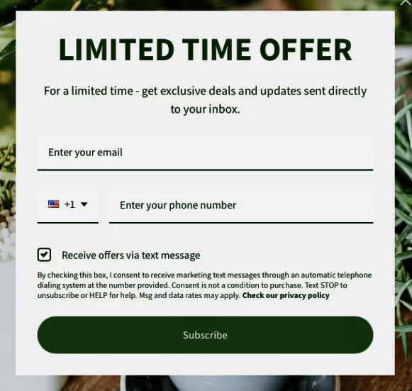 SMS regulations: A digital sign-up form offering a limited time deal, asking for email and phone number, with an option to receive text updates. The form has a green Subscribe button at the bottom.
