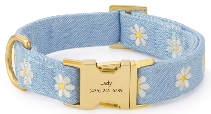 Most profitable products to sell online: Light blue fabric dog collar with white embroidered daisies, gold metal buckle, and a gold tag engraved with Lady (435)-245-6789. The collar is displayed in a circular shape.
