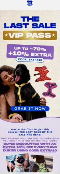 Email automation examples: Promotional ad featuring a smiling woman with a black dog in a yellow harness, colorful dog sweaters, and bold text offering a VIP pass for a last sale with an extra 10% discount using code EXTRA10.