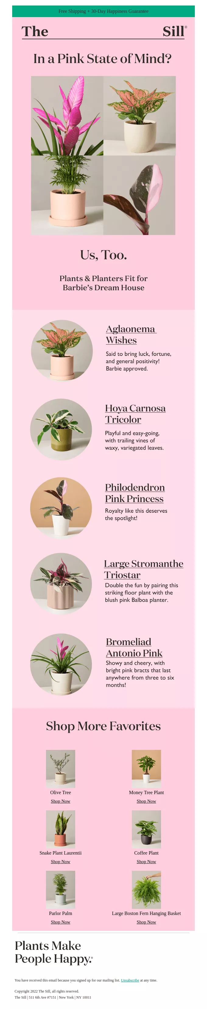 June newsletter ideas: A pink-themed infographic from The Sill showcasing pink houseplants like Adiantum, Iron Cross Begonia, Tradescantia Nanouk, Bromeliad, and Stromanthe Triostar, each shown in small pots with plant details.