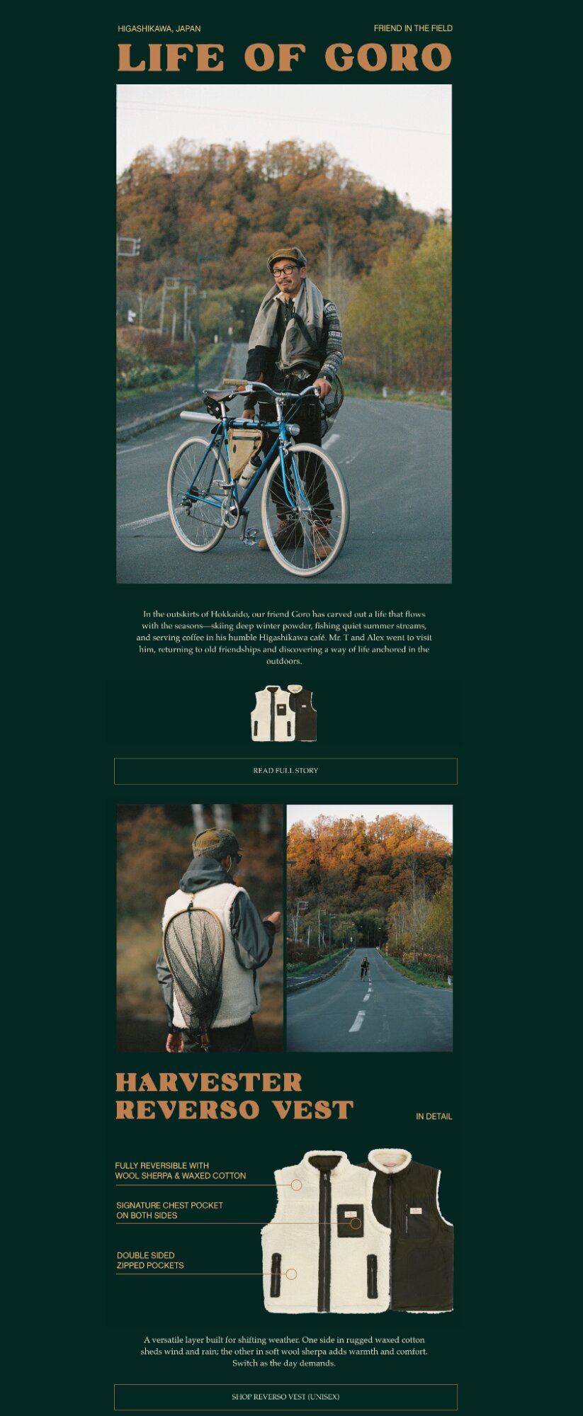 Newsletter design: A man with glasses stands on a rural road next to a bike, wearing a vest. Autumn trees are in the background. Below are images of the man cycling, close-ups of the vest, and a detailed product description.