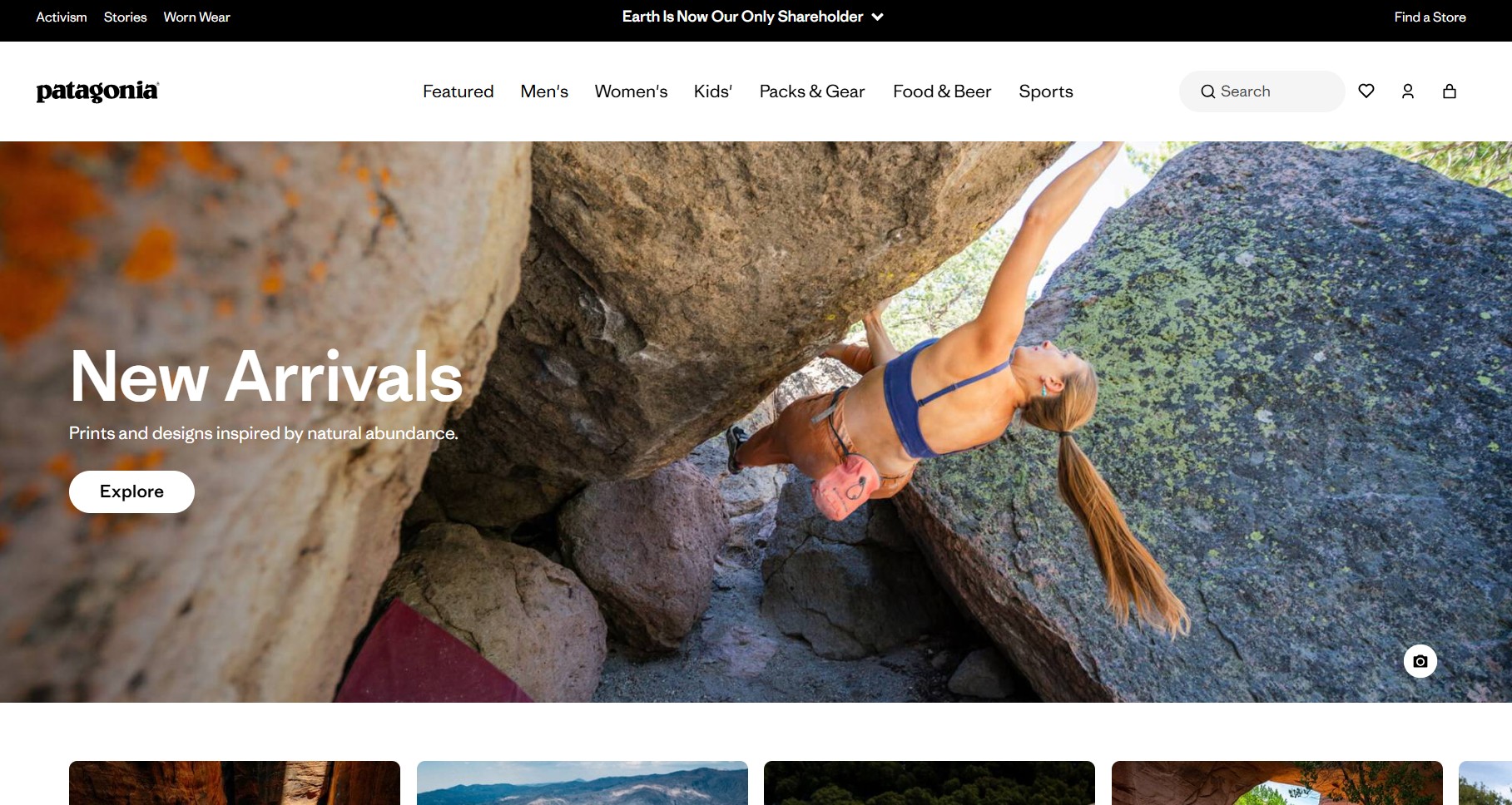 Ecommerce website examples: patagonia home page