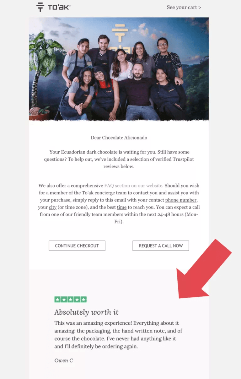 Testimonial Advertising: Types, Examples & How to Collect