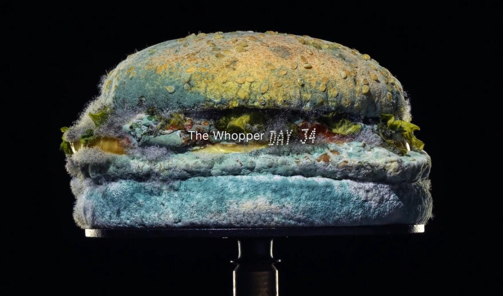 Guerilla marketing: A Whopper burger covered in blue and green mold sits on a black background with the words The Whopper and DAY 14 overlaid on the moldy bun.