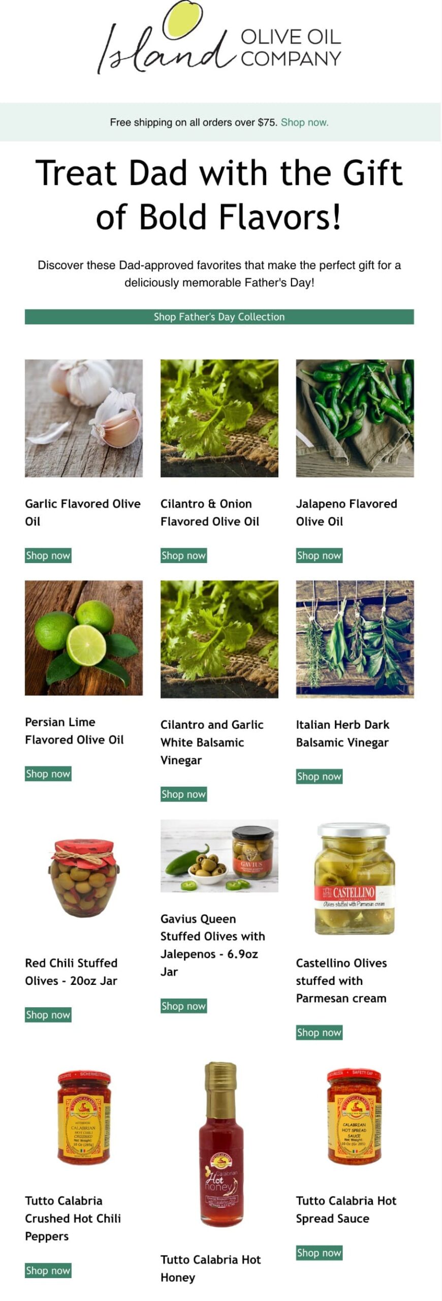 10 Father’s Day Email Examples (+ Templates & Best Practices)