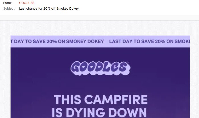 Funny email examples: Screenshot of an email with the subject Last chance for 20% off Smokey Dokey from GOODLES, featuring a purple banner that says GOODLES and THIS CAMPFIRE IS DYING DOWN.