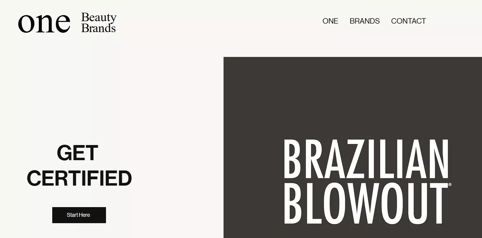 Wix stores examples: One Beauty Brands home page