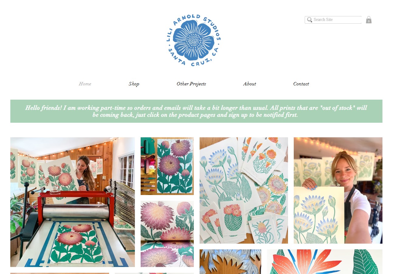 Wix Online Store Examples: 30 Best Picks (2026)